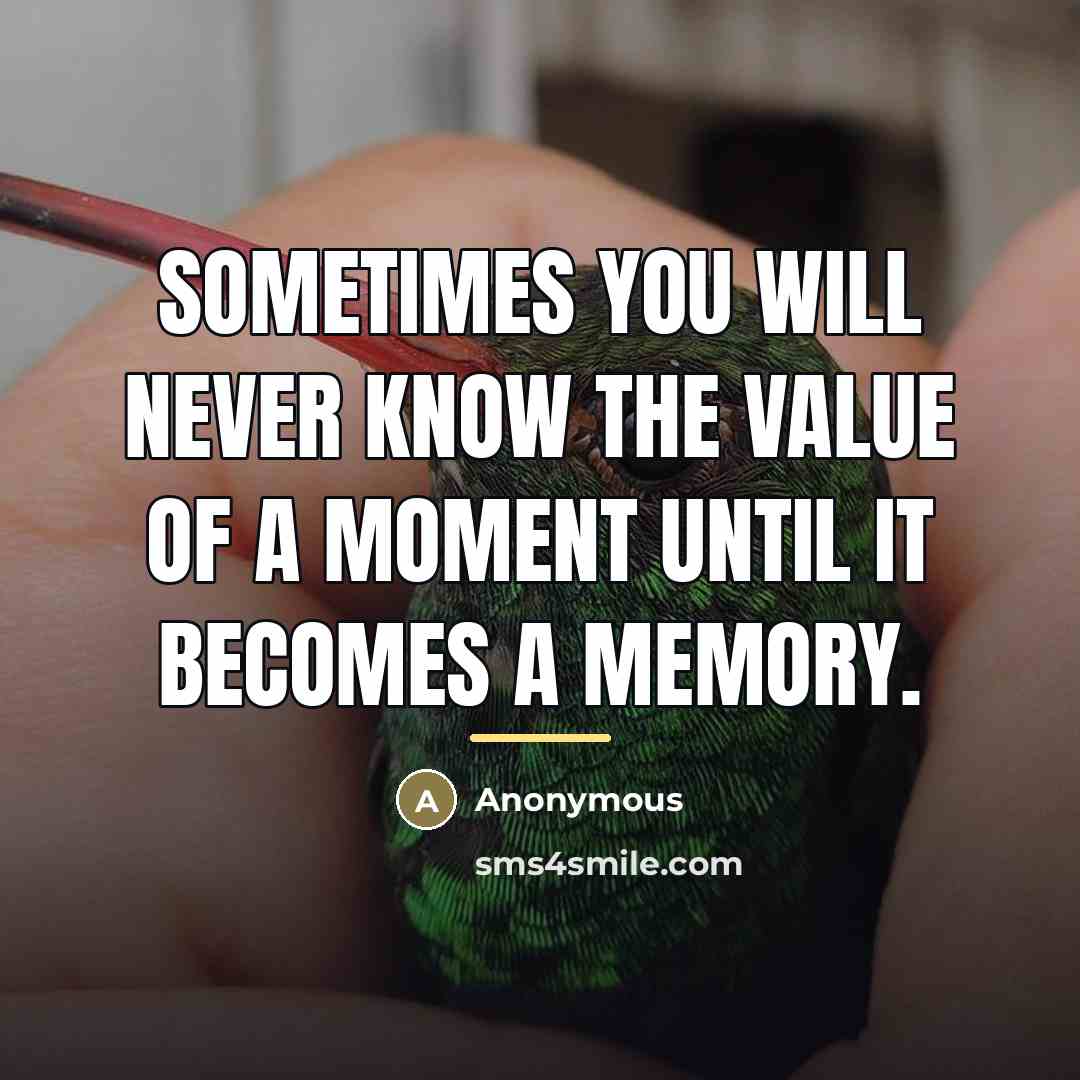 “Sometimes you will never know the value of a moment…” quote by Anonymous