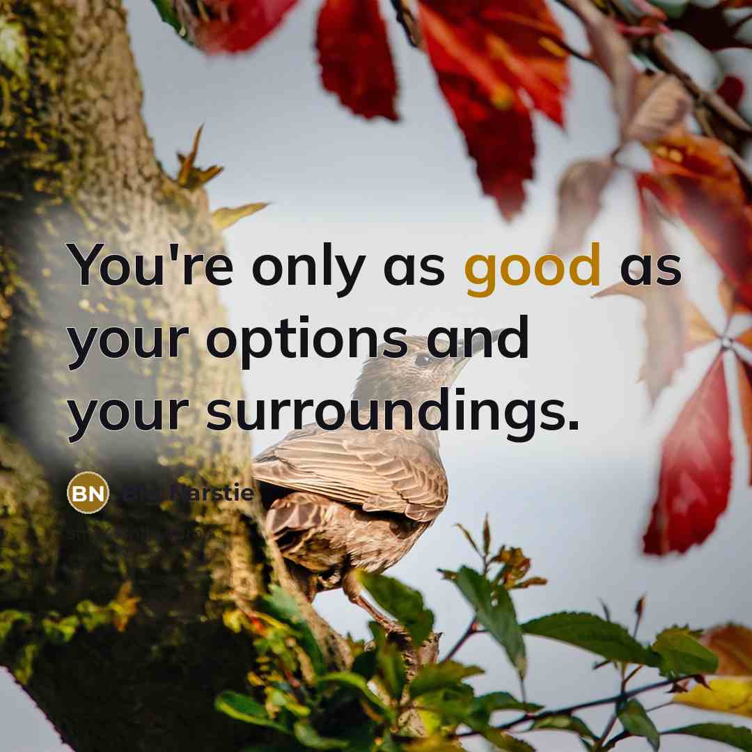 “You're only as good as your options and your surroundings.…” quote by Big Narstie