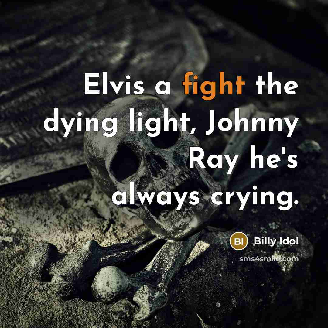 “Elvis a fight the dying light, Johnny Ray he's always…” quote by Billy Idol