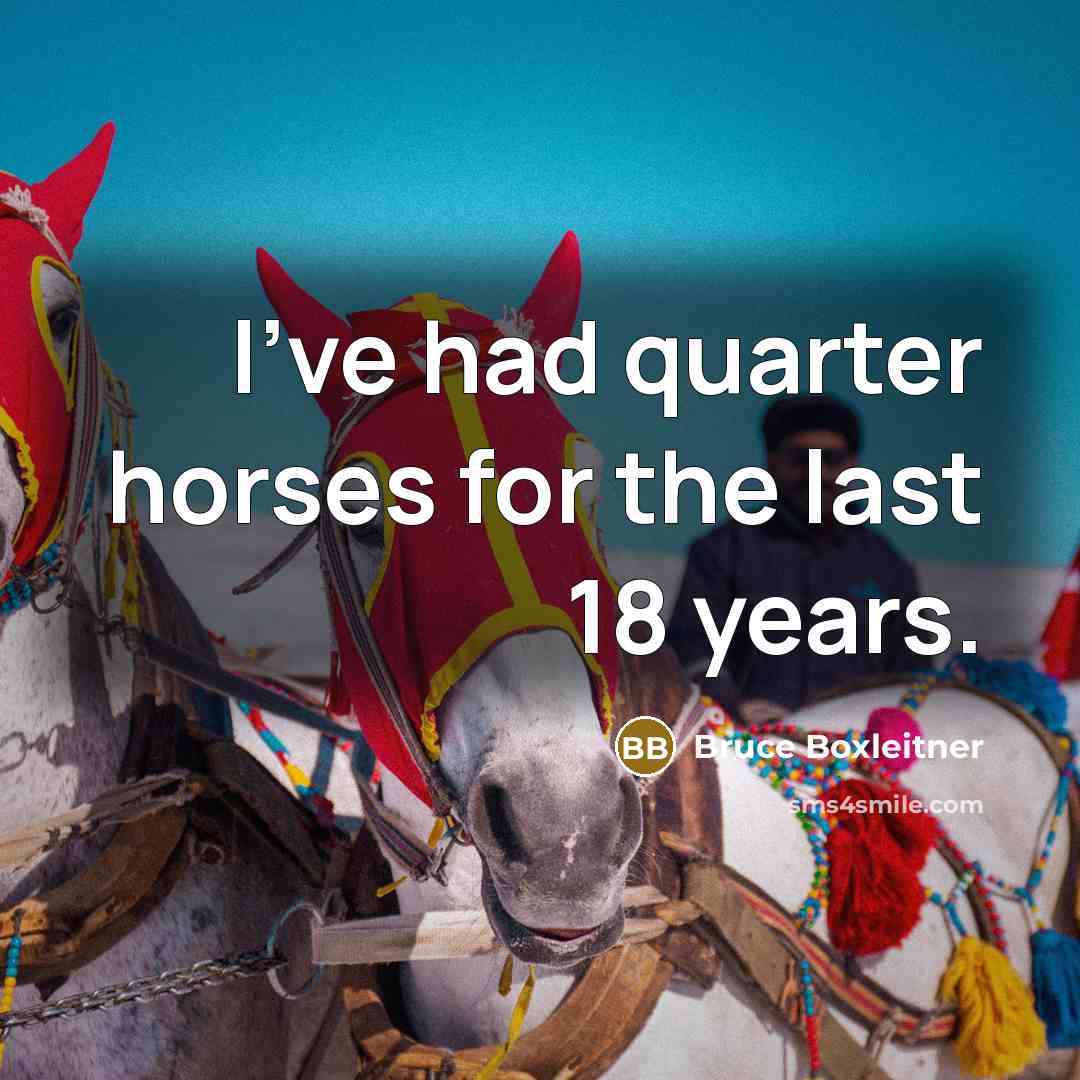 “I've had quarter horses for the last 18 years.…” quote by Bruce Boxleitner