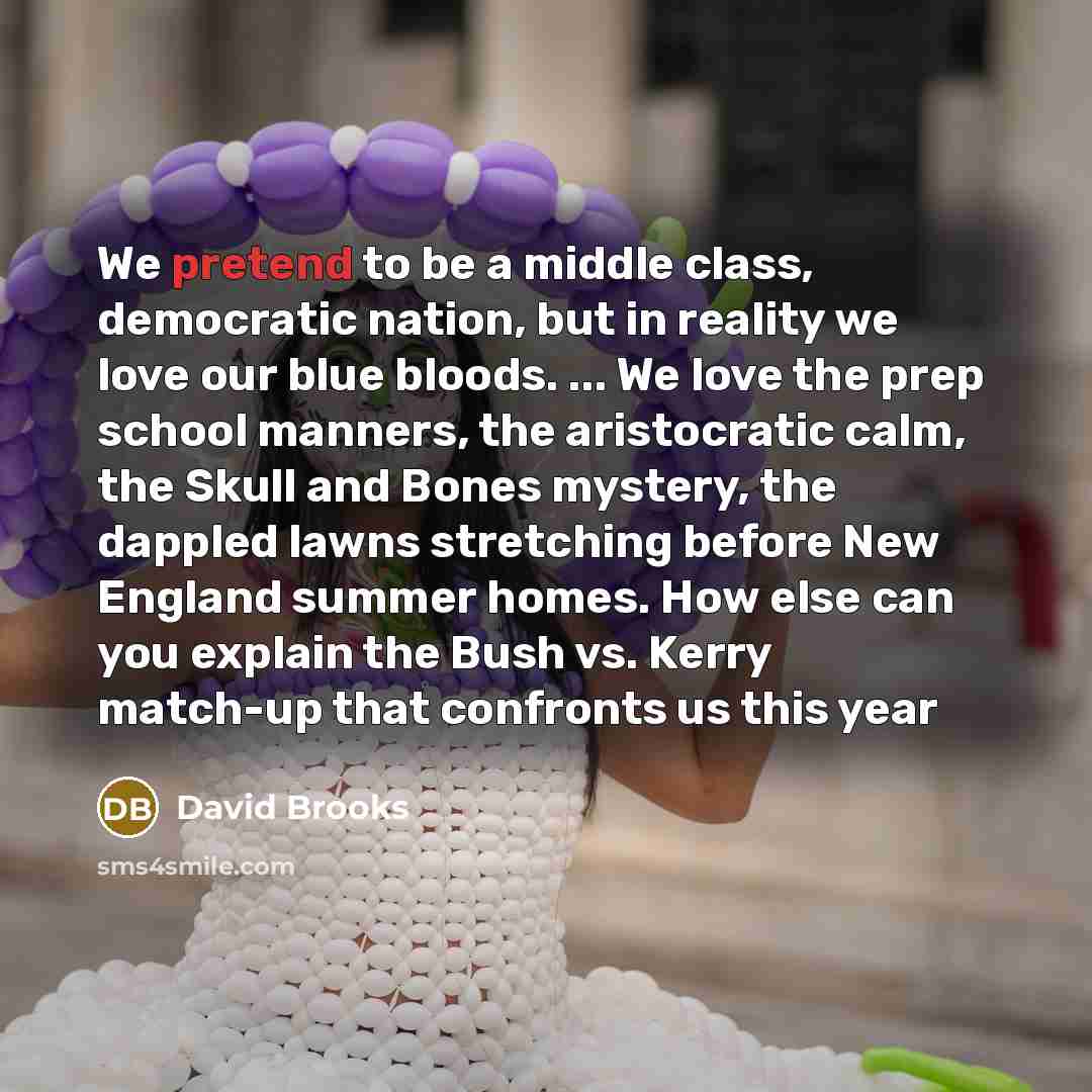 “We pretend to be a middle class, democratic nation, but…” quote by David Brooks