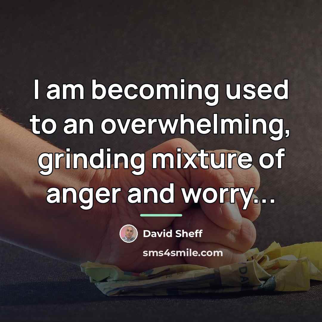 “I am becoming used to an overwhelming, grinding mixture of…” quote by David Sheff