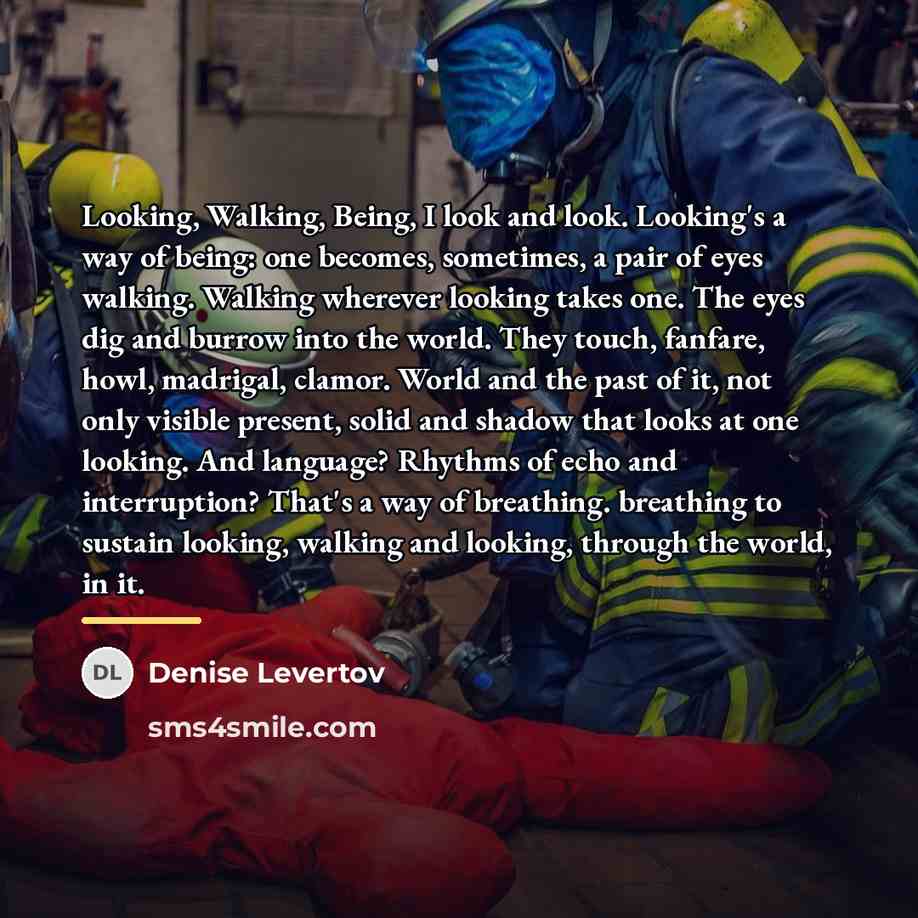 “Looking, Walking, Being, I look and look. Looking's a way…” quote by Denise Levertov