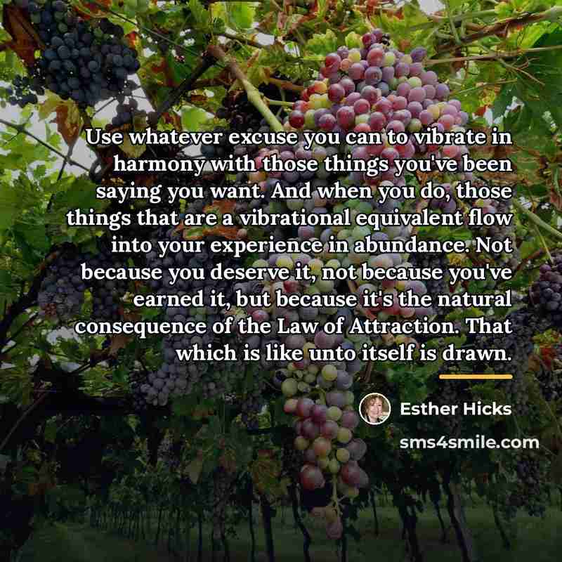 “Use whatever excuse you can to vibrate in harmony with…” quote by Esther Hicks