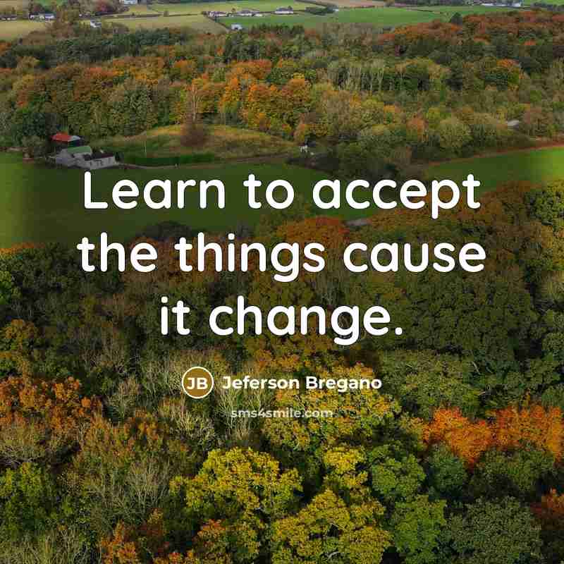 “Learn to accept the things cause it change.” quote by Jeferson Bregano