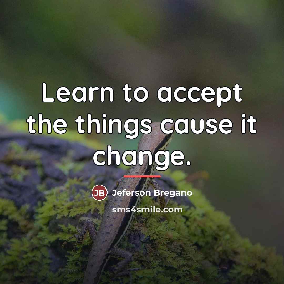 “Learn to accept the things cause it change.…” quote by Jeferson Bregano