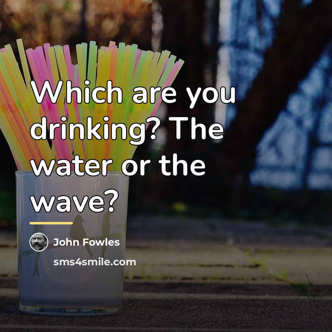 “Which are you drinking? The water or the wave?…” quote by John Fowles