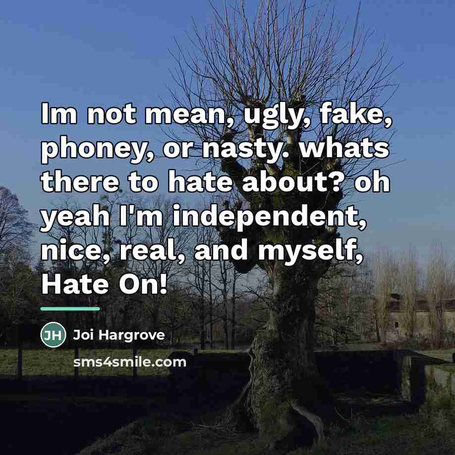 “Im not mean, ugly, fake, phoney, or nasty. whats there…” quote by Joi Hargrove