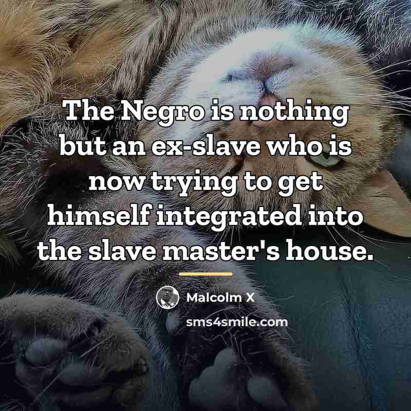 “The Negro is nothing but an ex-slave who is now…” quote by Malcolm X