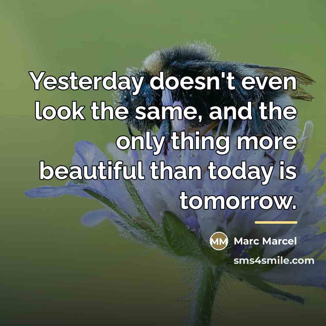 “Yesterday doesn't even look the same, and the only thing…” quote by Marc Marcel