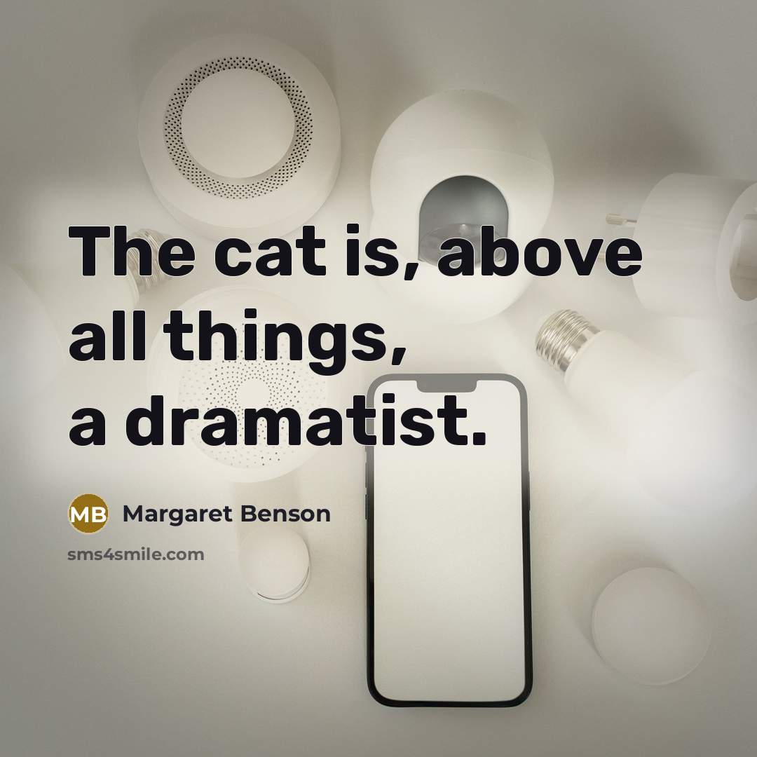 “The cat is, above all things, a dramatist.…” quote by Margaret Benson