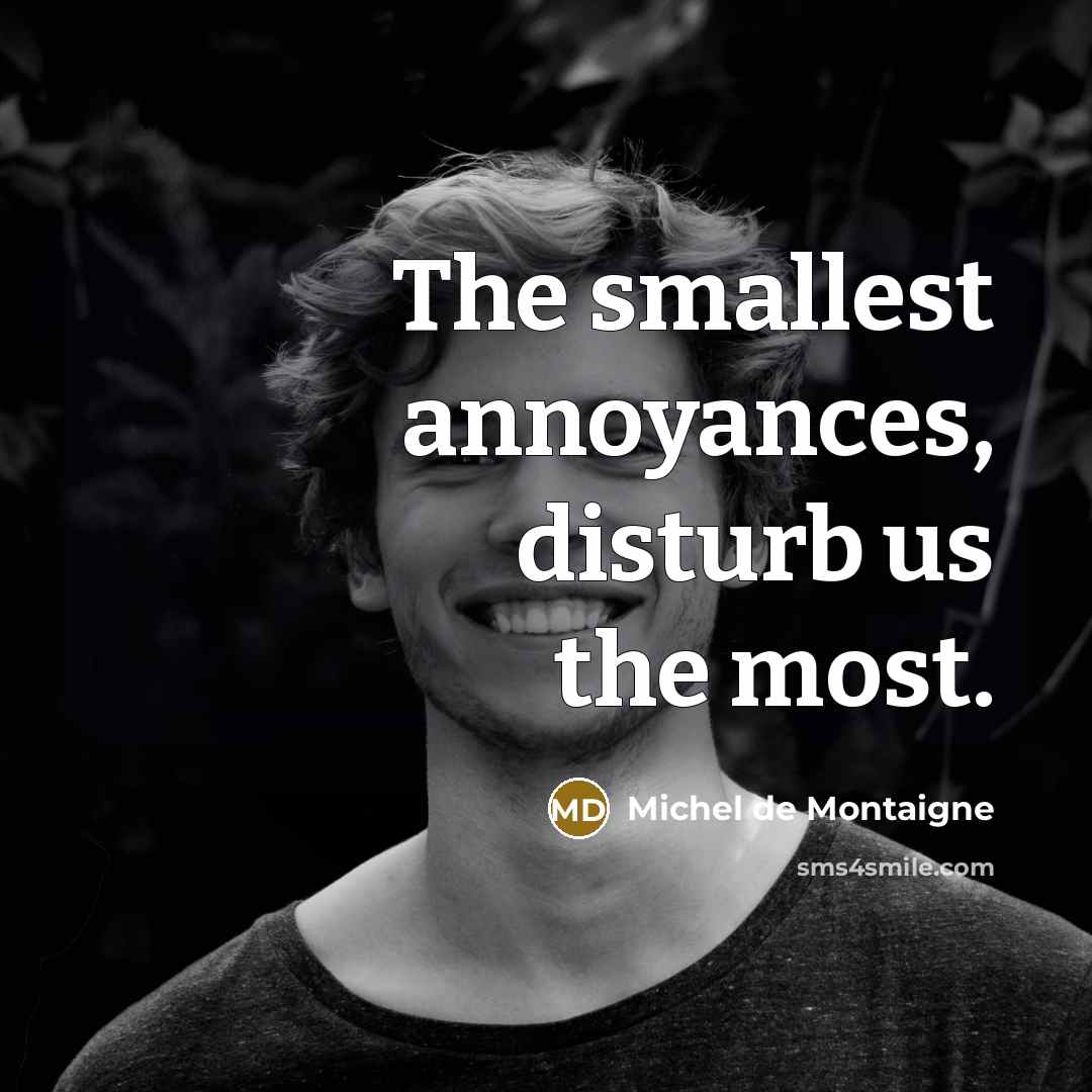 “The smallest annoyances, disturb us the most.…” quote by Michel de Montaigne