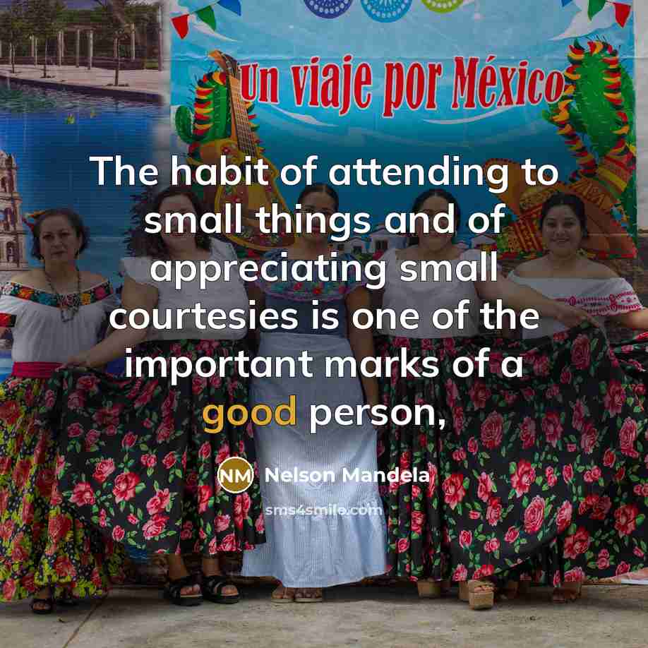 “The habit of attending to small things and of appreciating…” quote by Nelson Mandela