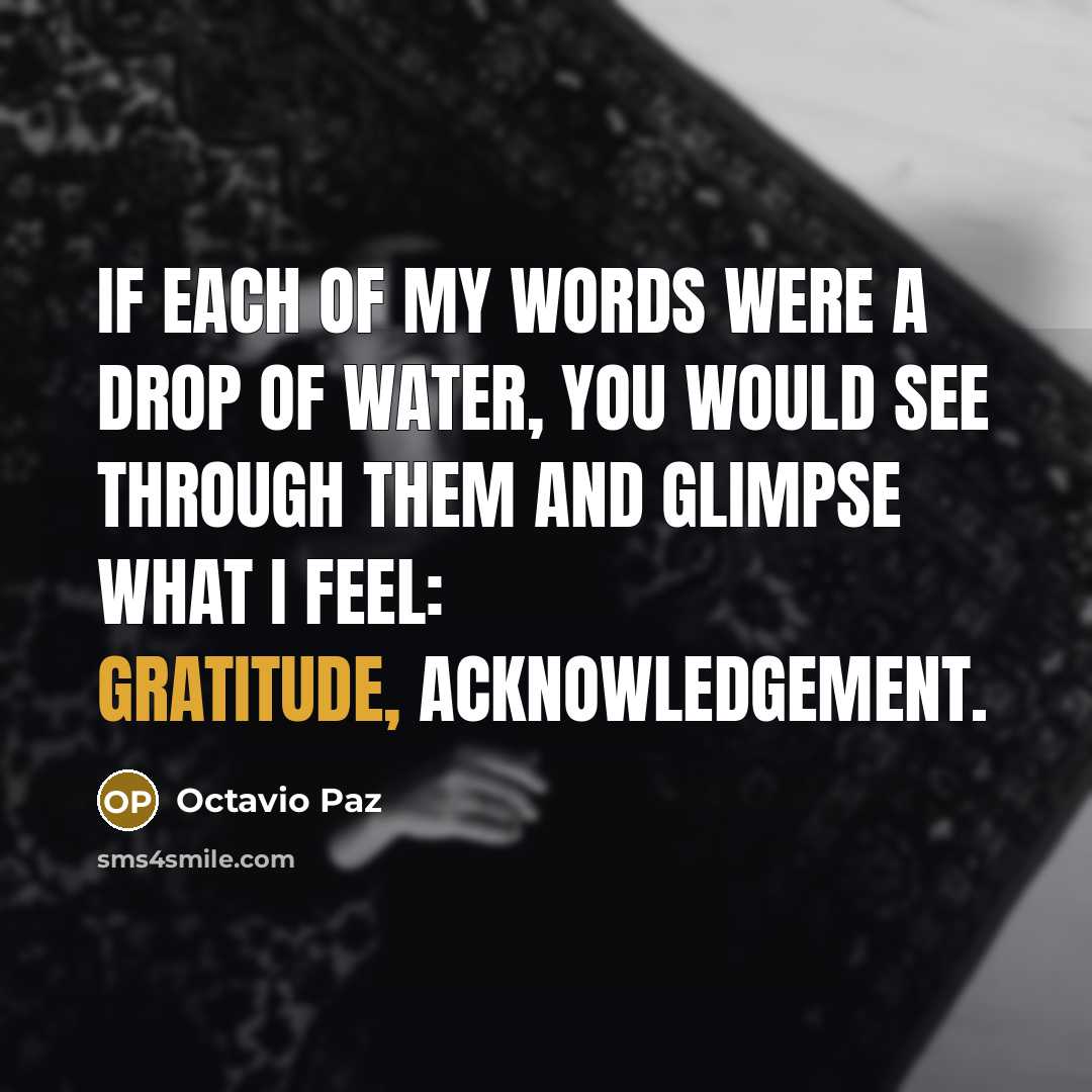 “If each of my words were a drop of water,…” quote by Octavio Paz