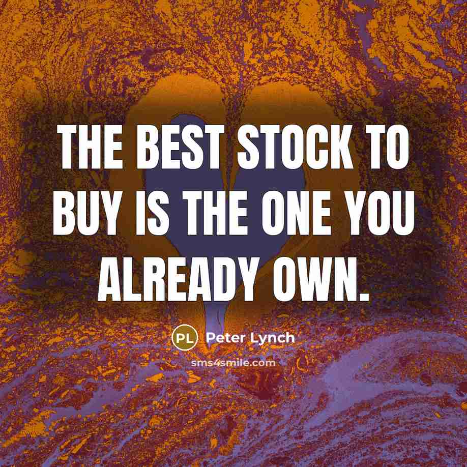 “The best stock to buy is the one you already…” quote by Peter Lynch