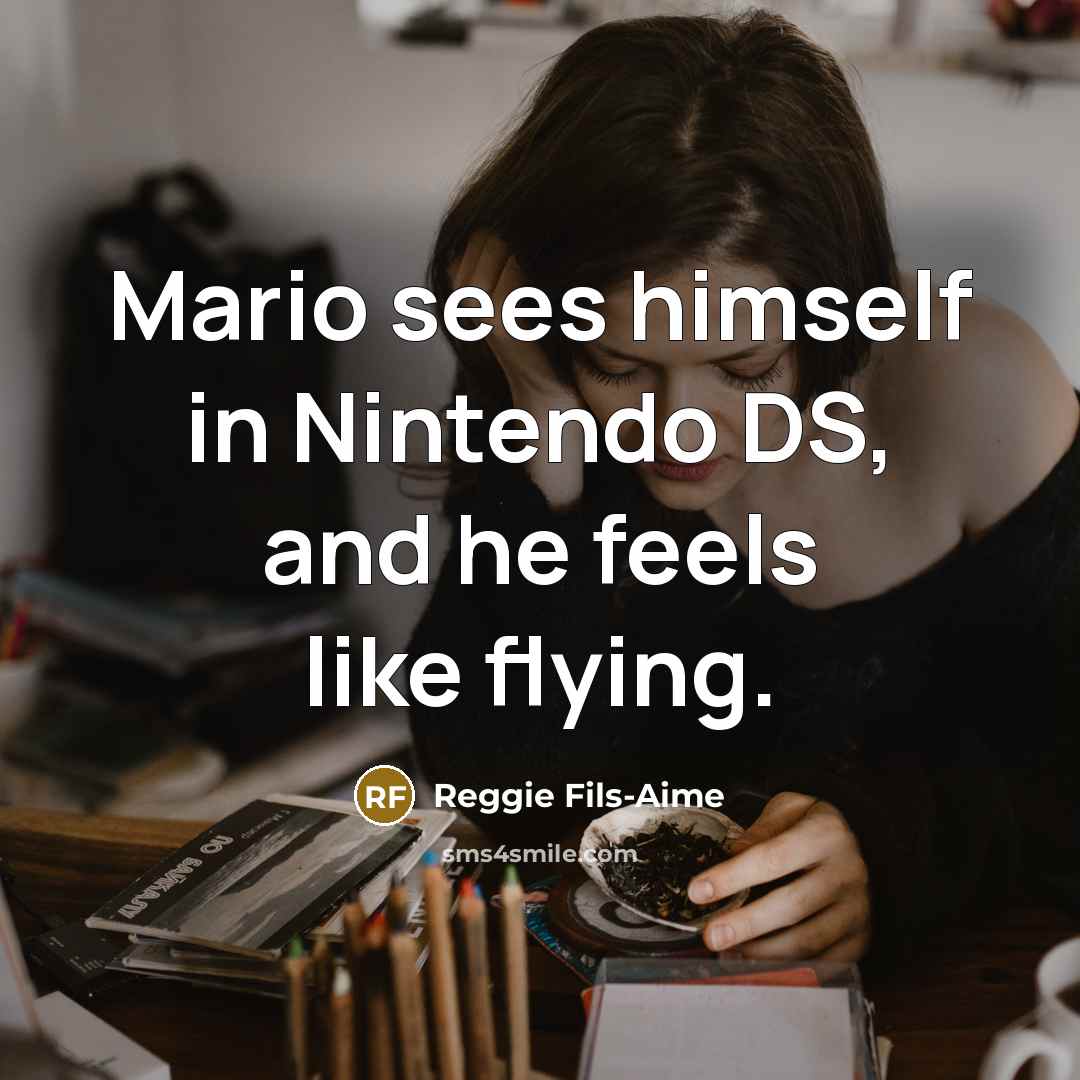 “Mario sees himself in Nintendo DS, and he feels like…” quote by Reggie Fils-Aime