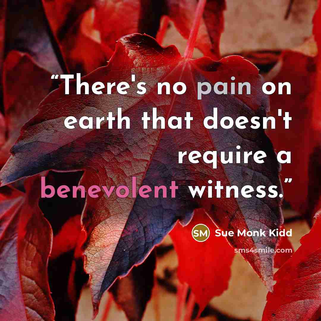 “There's no pain on earth that doesn't require a benevolent witness.” quote by sue monk kidd