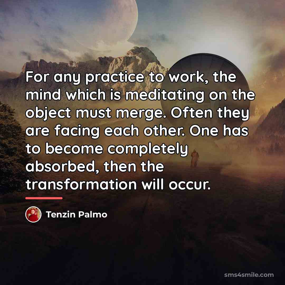 “For any practice to work, the mind which is meditating…” quote by Tenzin Palmo