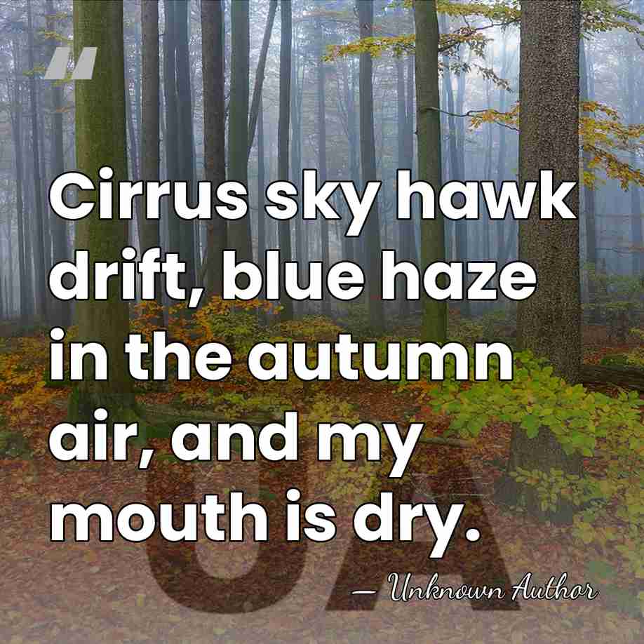 Cirrus sky hawk drift, blue haze in the autumn air, and my&hellip; - Unknown Author