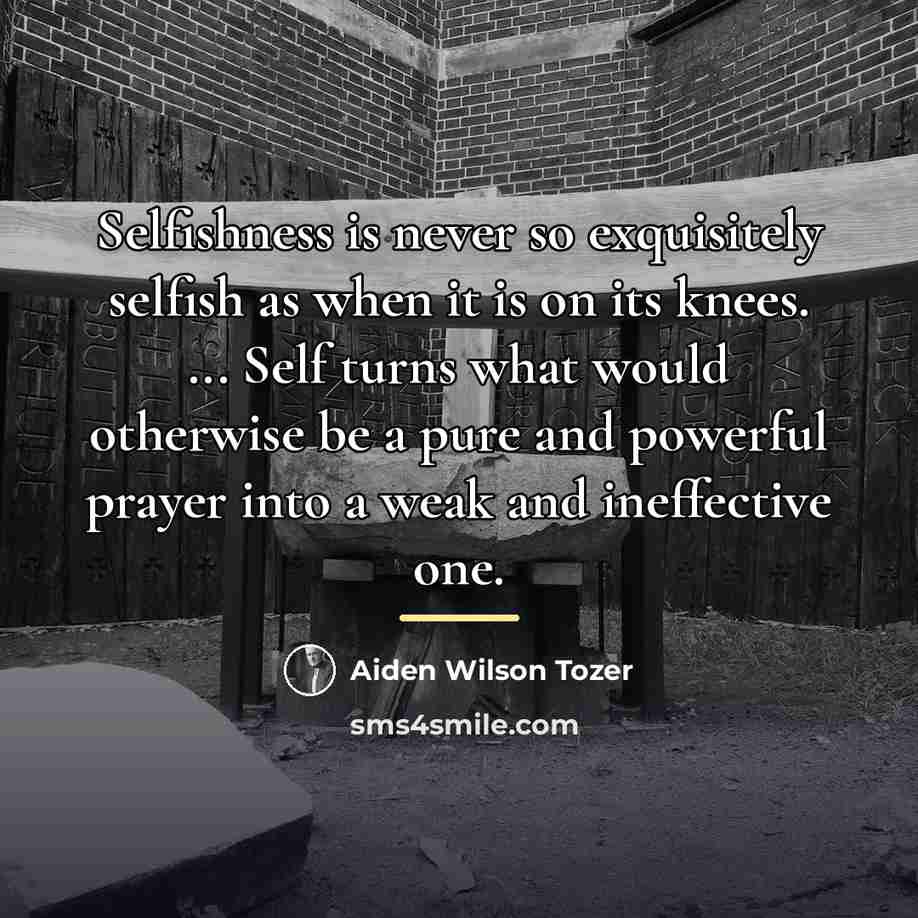 “Selfishness is never so exquisitely selfish as when it is…” quote by Aiden Wilson Tozer