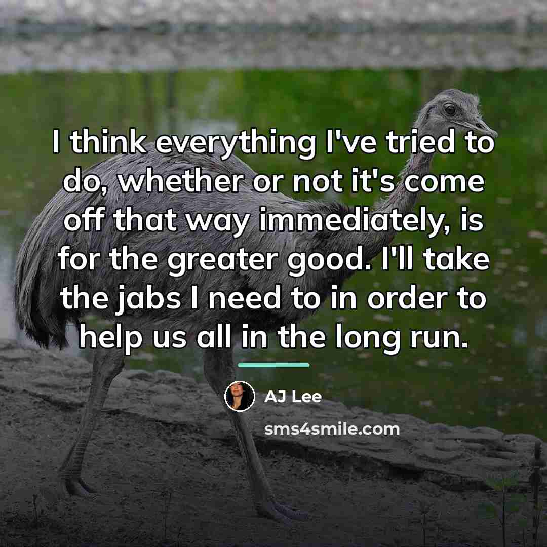 “I think everything I've tried to do, whether or not…” quote by AJ Lee