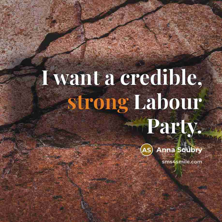 “I want a credible, strong Labour Party.…” quote by Anna Soubry