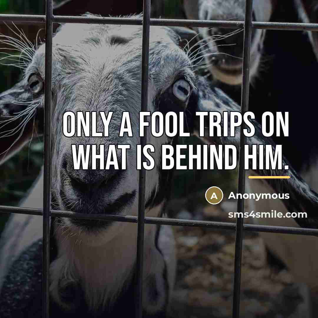 “Only a fool trips on what is behind him.…” quote by Anonymous