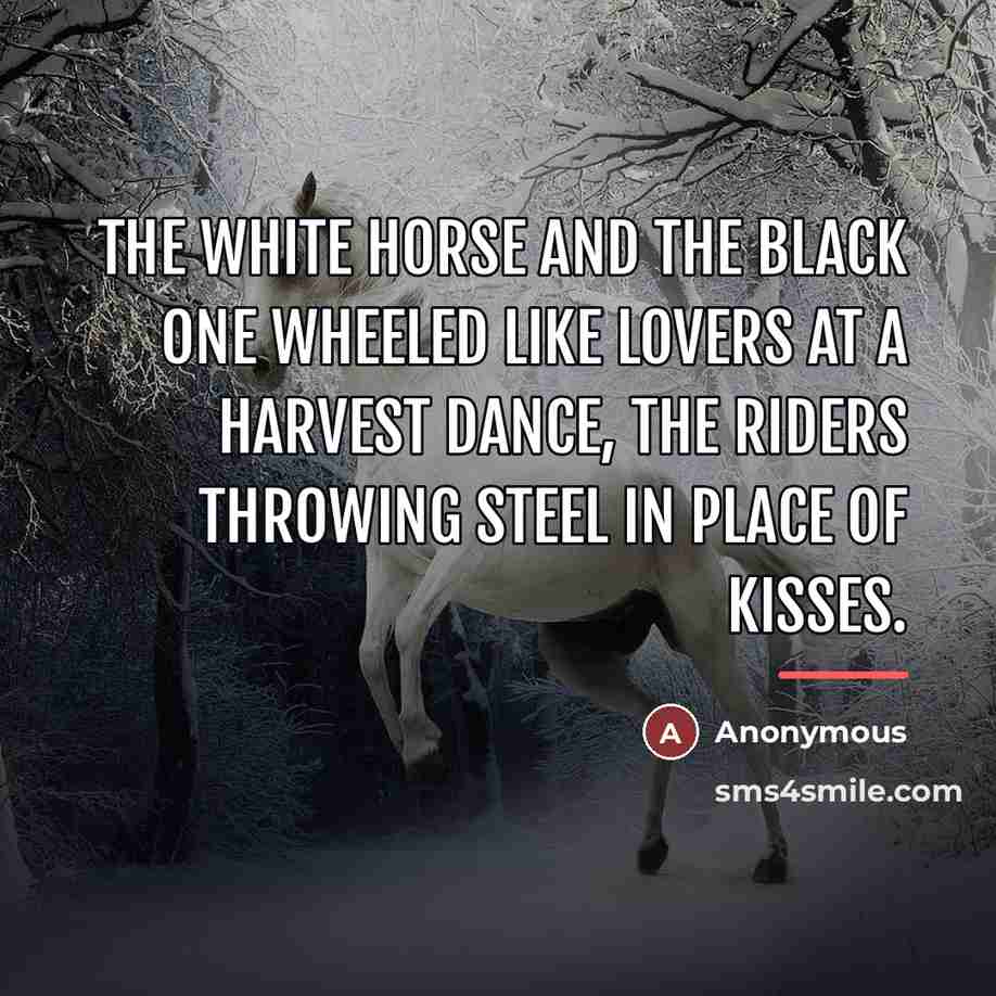 “The white horse and the black one wheeled like lovers…” quote by Anonymous