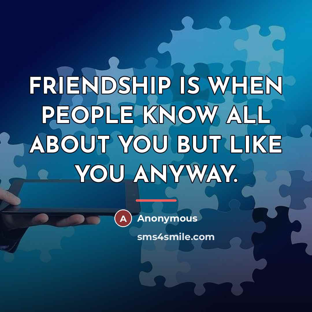 “FRIENDSHIP IS WHEN PEOPLE KNOW ALL ABOUT YOU BUT LIKE…” quote by Anonymous