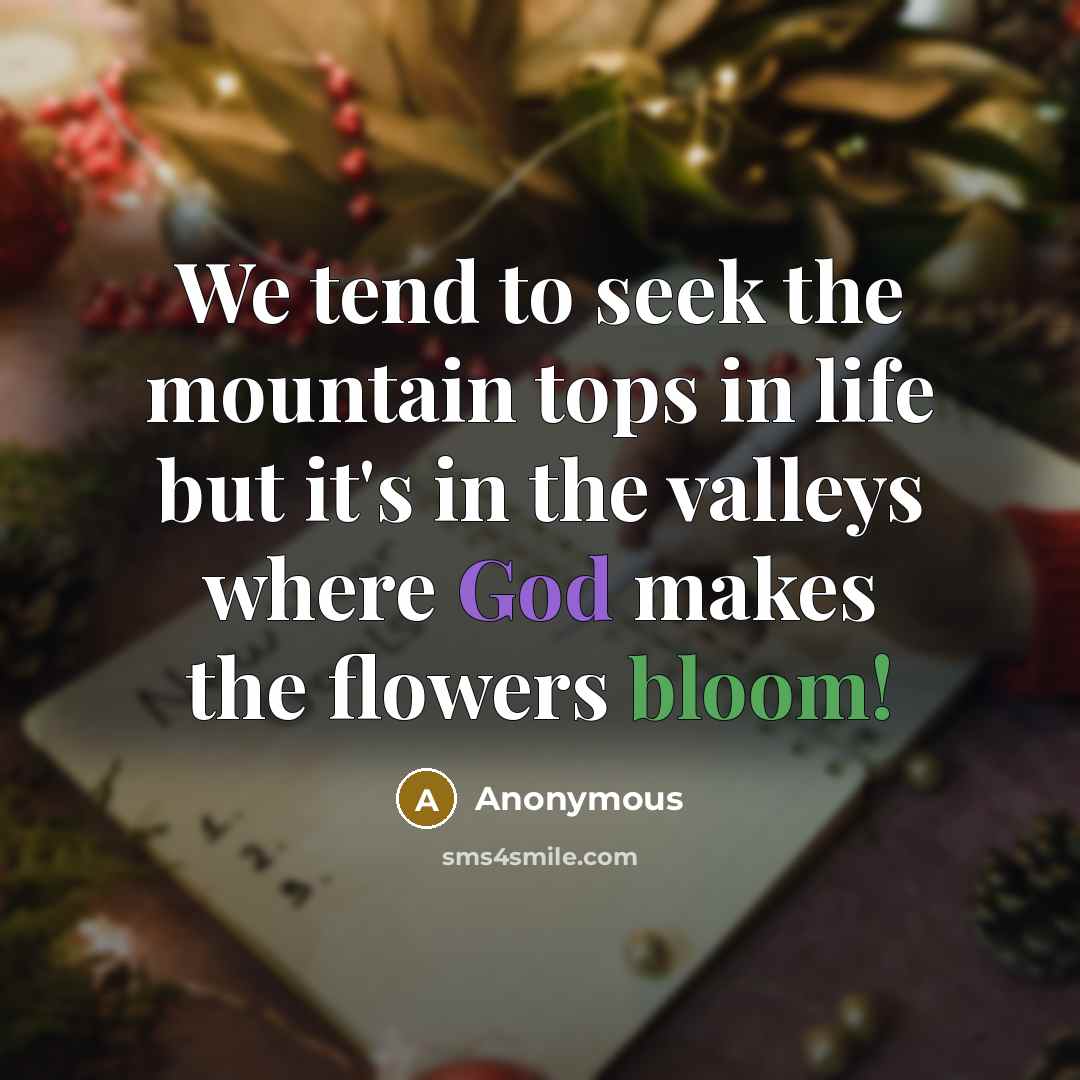 “We tend to seek the mountain tops in life but…” quote by Anonymous