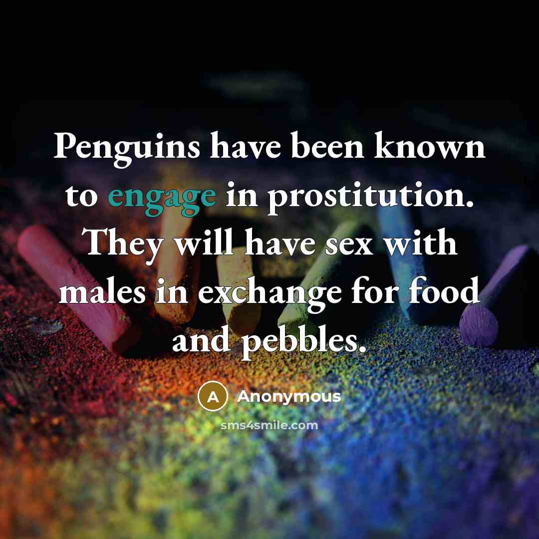 “Penguins have been known to engage in prostitution. They will…” quote by Anonymous