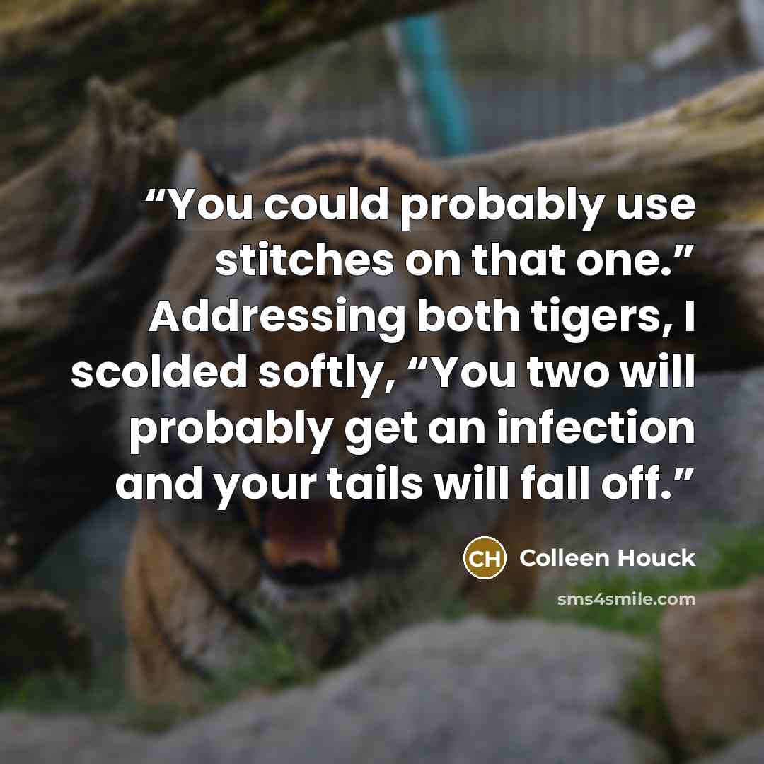 “You could probably use stitches on that one.” Addressing both tigers, I scolded softly, “You two will probably get an infection and your tails will fall off.” quote by Colleen Houck