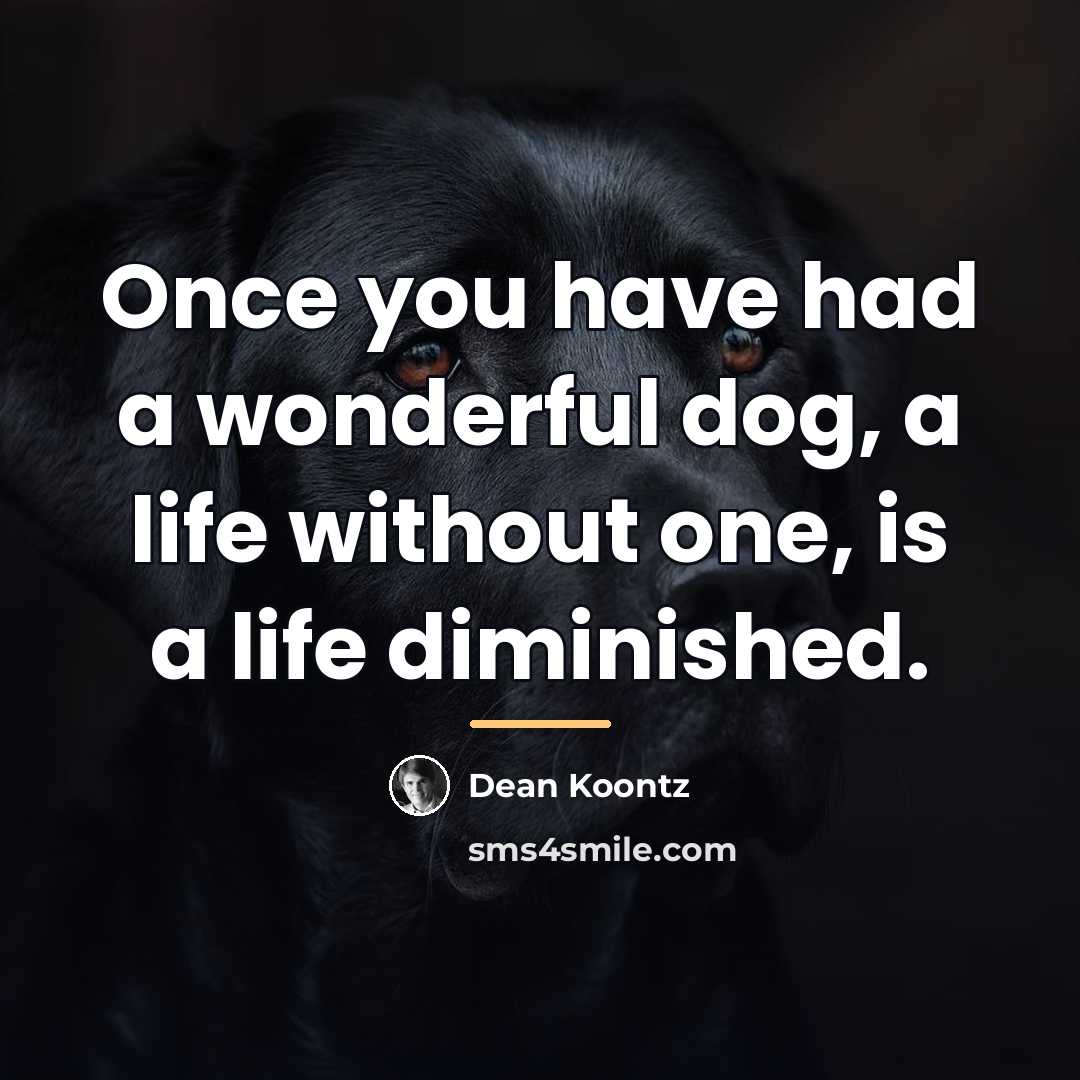 “Once you have had a wonderful dog, a life without…” quote by Dean Koontz