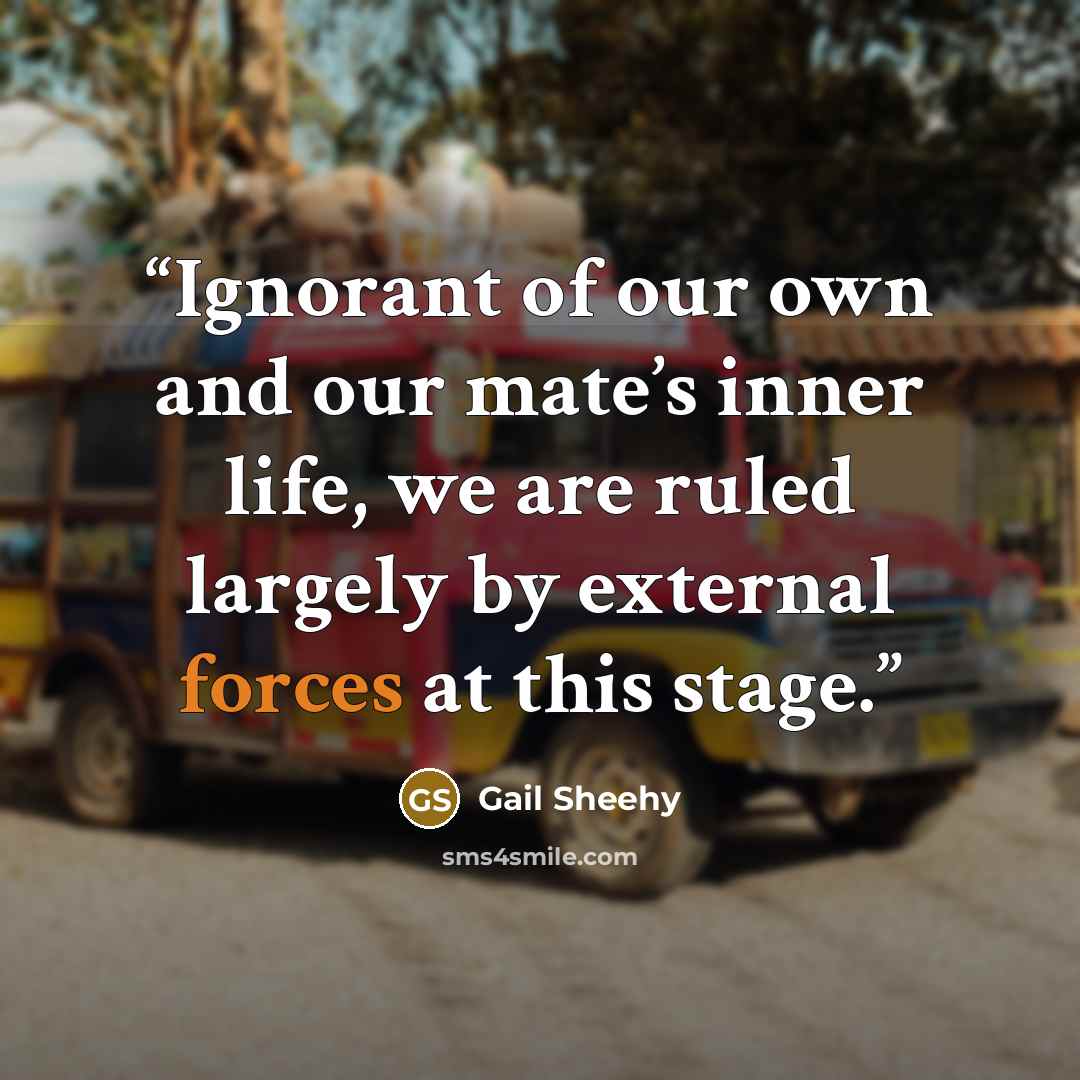 “Ignorant of our own and our mate’s inner life, we are ruled largely by external forces at this stage.” quote by Gail Sheehy