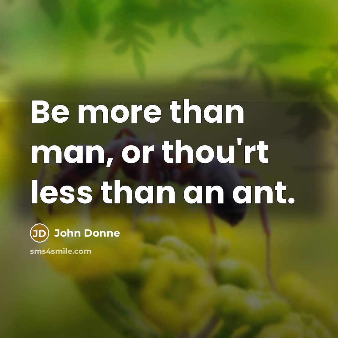 “Be more than man, or thou'rt less than an ant.…” quote by John Donne