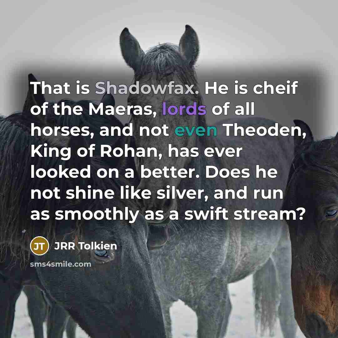 “That is Shadowfax. He is cheif of the Maeras, lords…” quote by JRR Tolkien