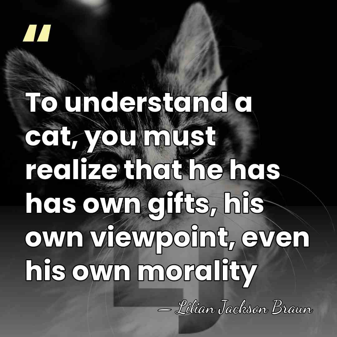 To understand a cat, you must realize that he has has own&hellip; - Lilian Jackson Braun