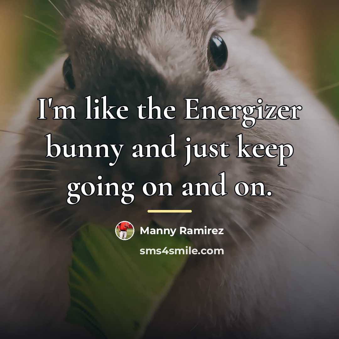 “I'm like the Energizer bunny and just keep going on…” quote by Manny Ramirez