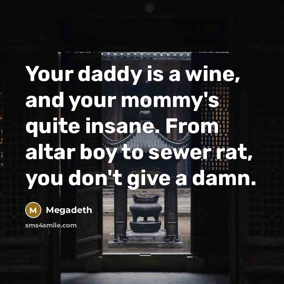 “Your daddy is a wine, and your mommy's quite insane.…” quote by Megadeth