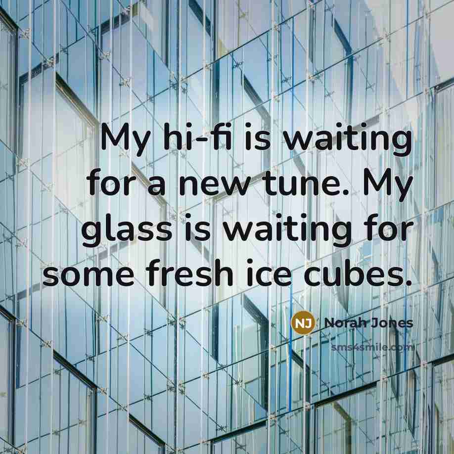 “My hi-fi is waiting for a new tune. My glass is waiting for some fresh ice cubes.” quote by Norah Jones