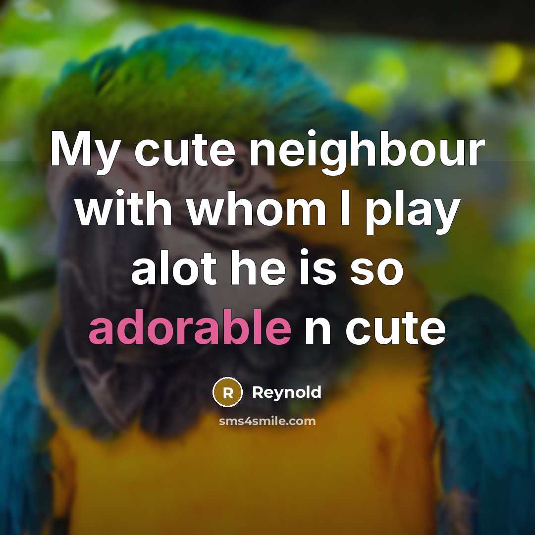 “My cute neighbour with whom I play alot he is so adorable n cute” quote by Reynold
