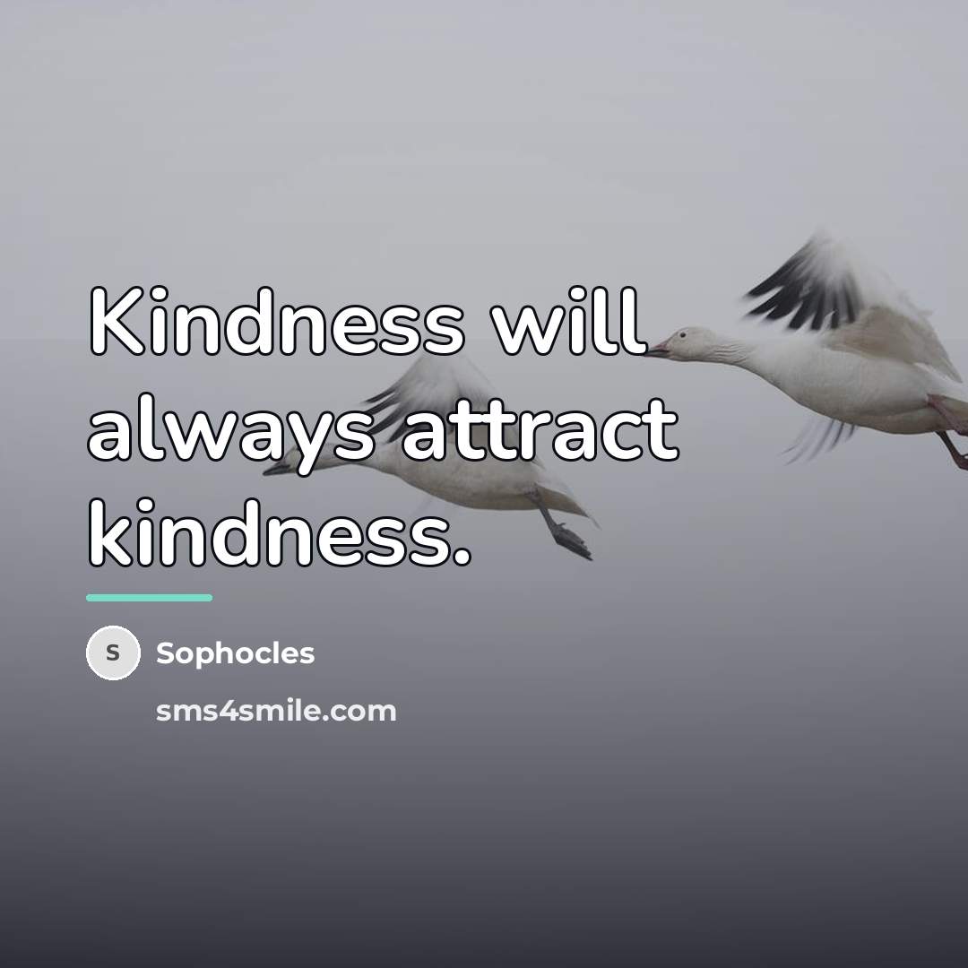 “Kindness will always attract kindness.…” quote by Sophocles