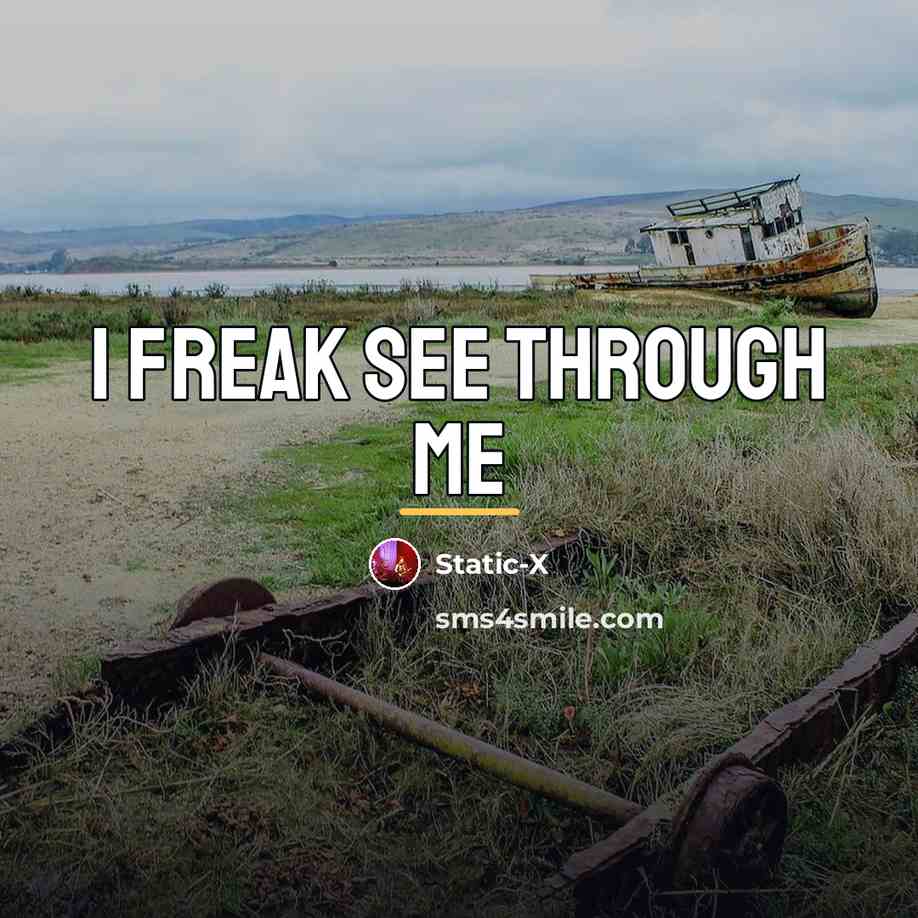 “I freak see through me…” quote by Static-x