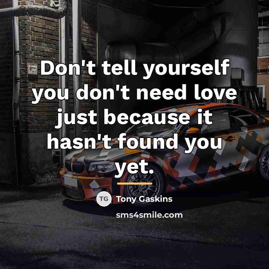 “Don't tell yourself you don't need love just because it…” quote by Tony Gaskins