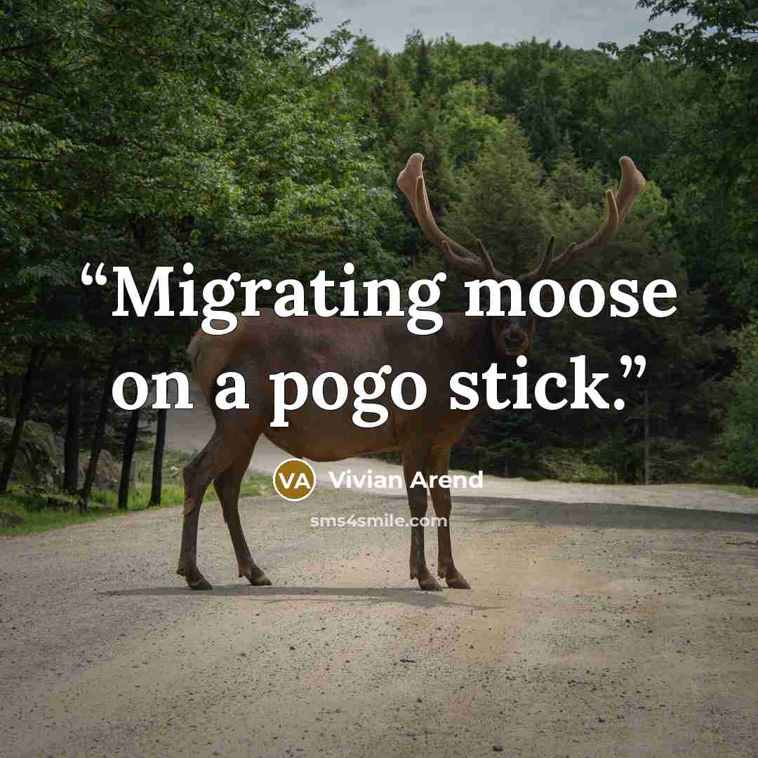 “Migrating moose on a pogo stick.” quote by Vivian Arend