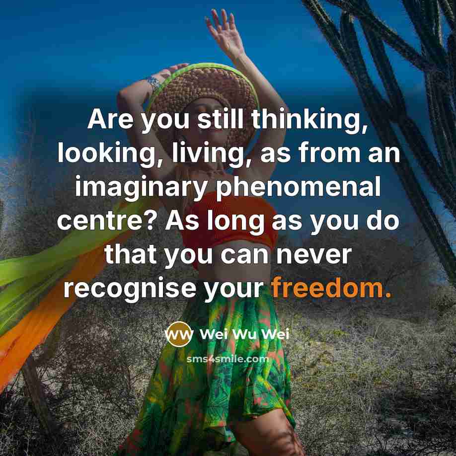 “Are you still thinking, looking, living, as from an imaginary…” quote by Wei Wu Wei