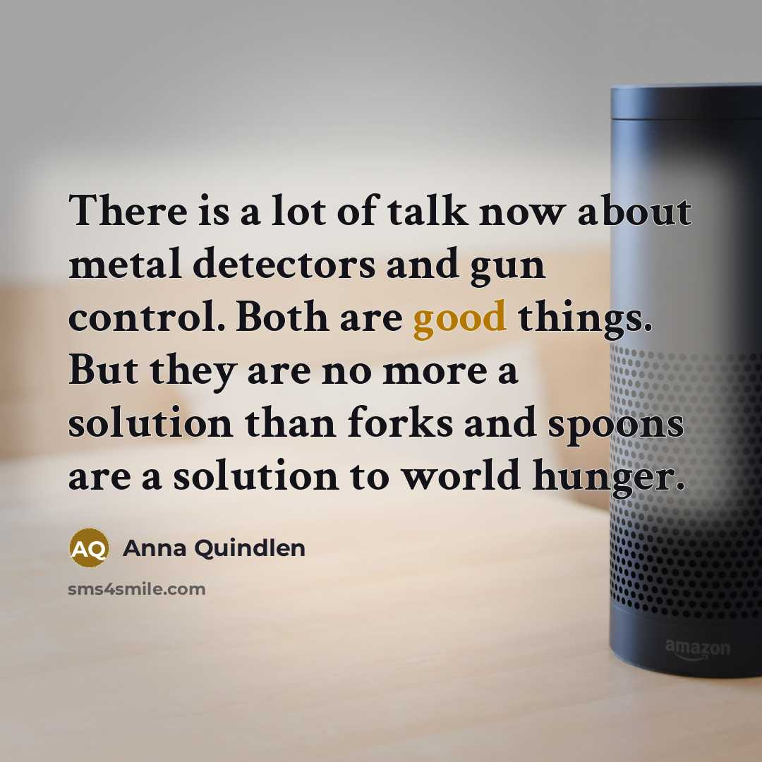 “There is a lot of talk now about metal detectors…” quote by Anna Quindlen