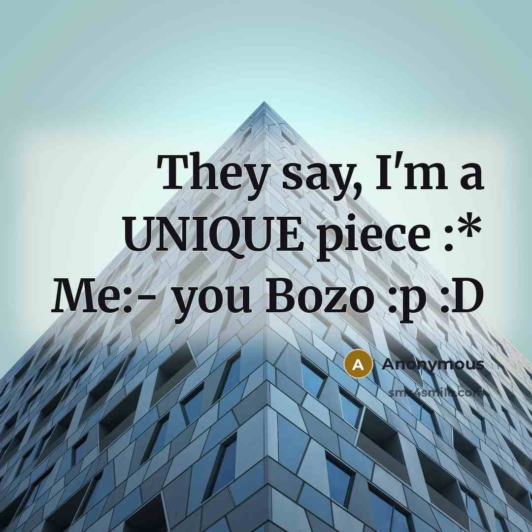 “They say, I'm a UNIQUE piece :* Me:- you Bozo :p :D” quote by Anonymous