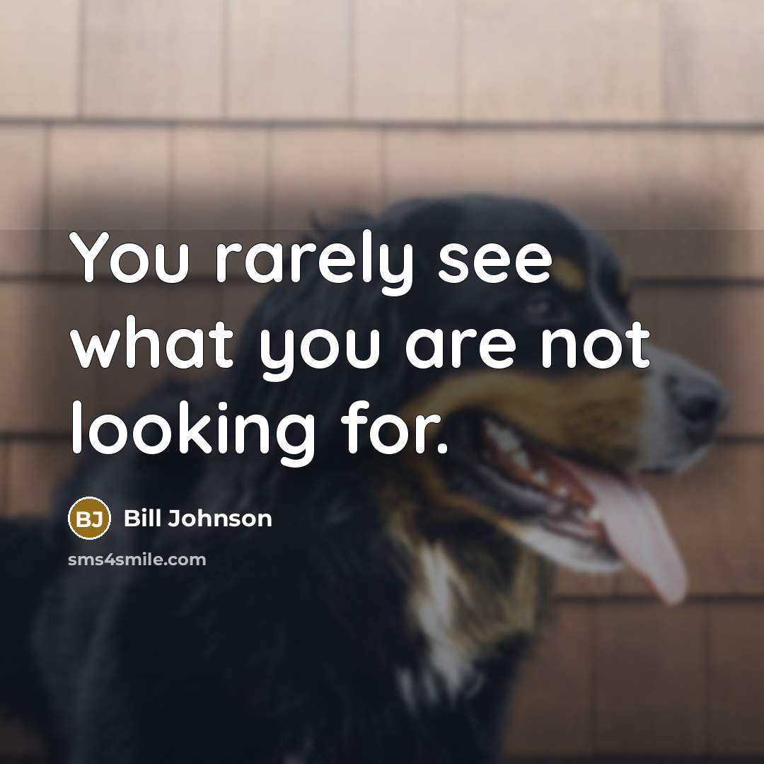 “You rarely see what you are not looking for.…” quote by Bill Johnson