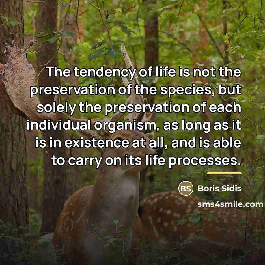“The tendency of life is not the preservation of the…” quote by Boris Sidis
